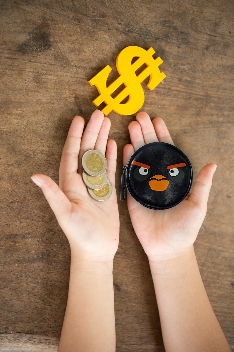 Angry Birds Coin Purse