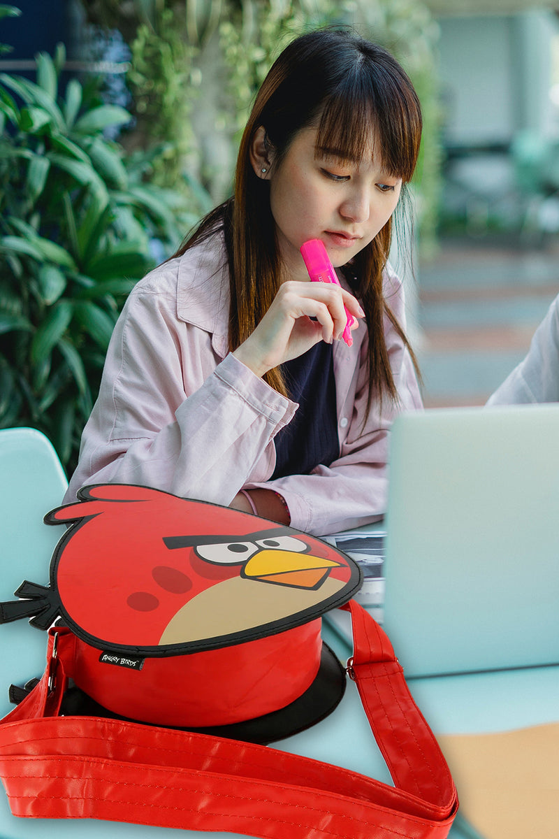 Angry Birds Pilot Bag