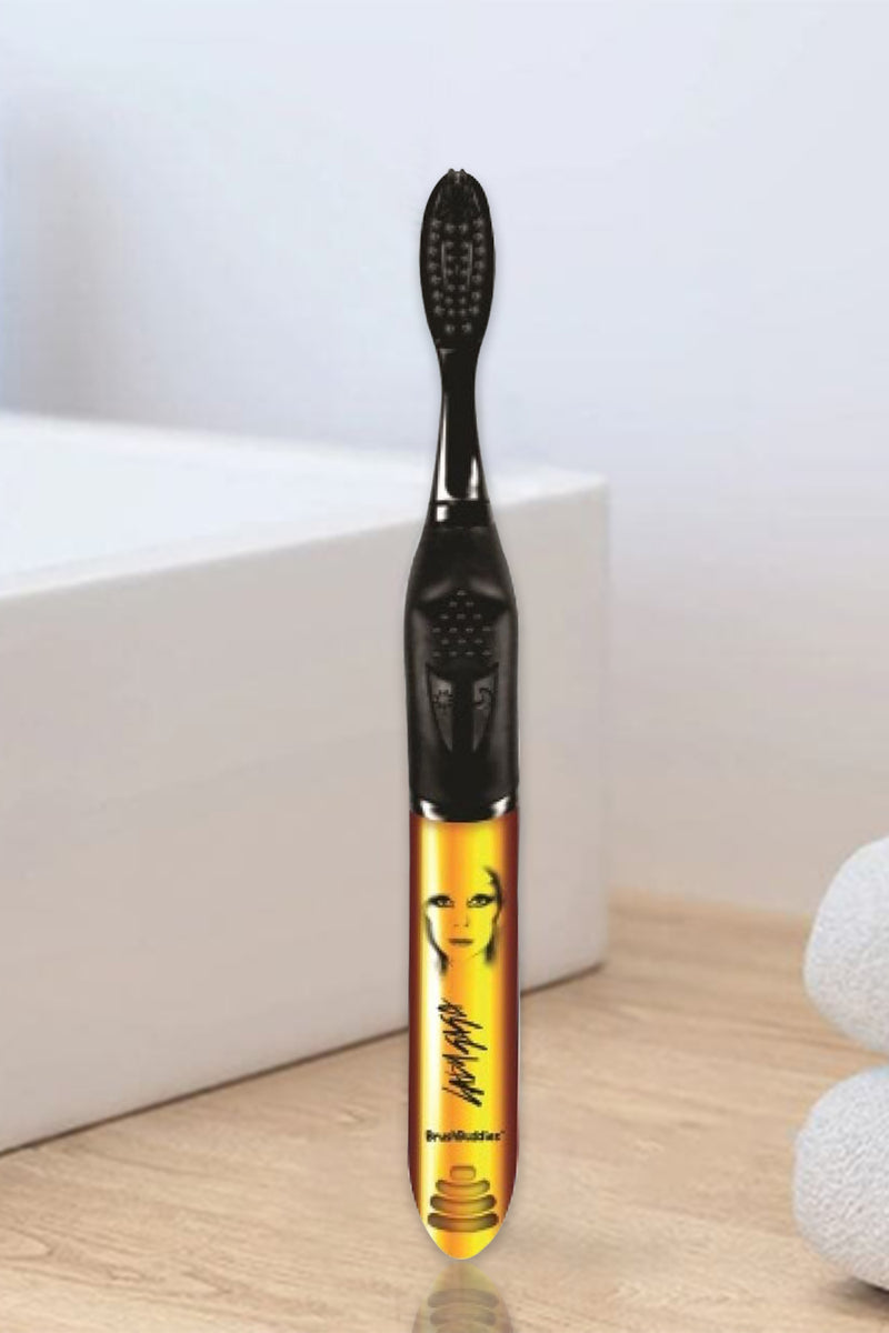 Brush Buddies Lady Gaga Singing Toothbrush (Born This way & Bad Romance)