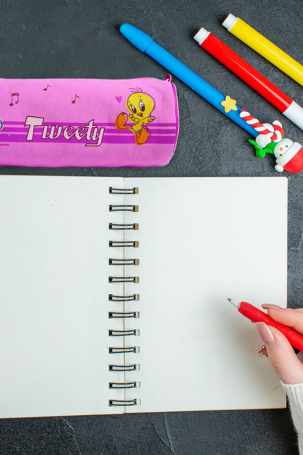 Tweety Pencil Case